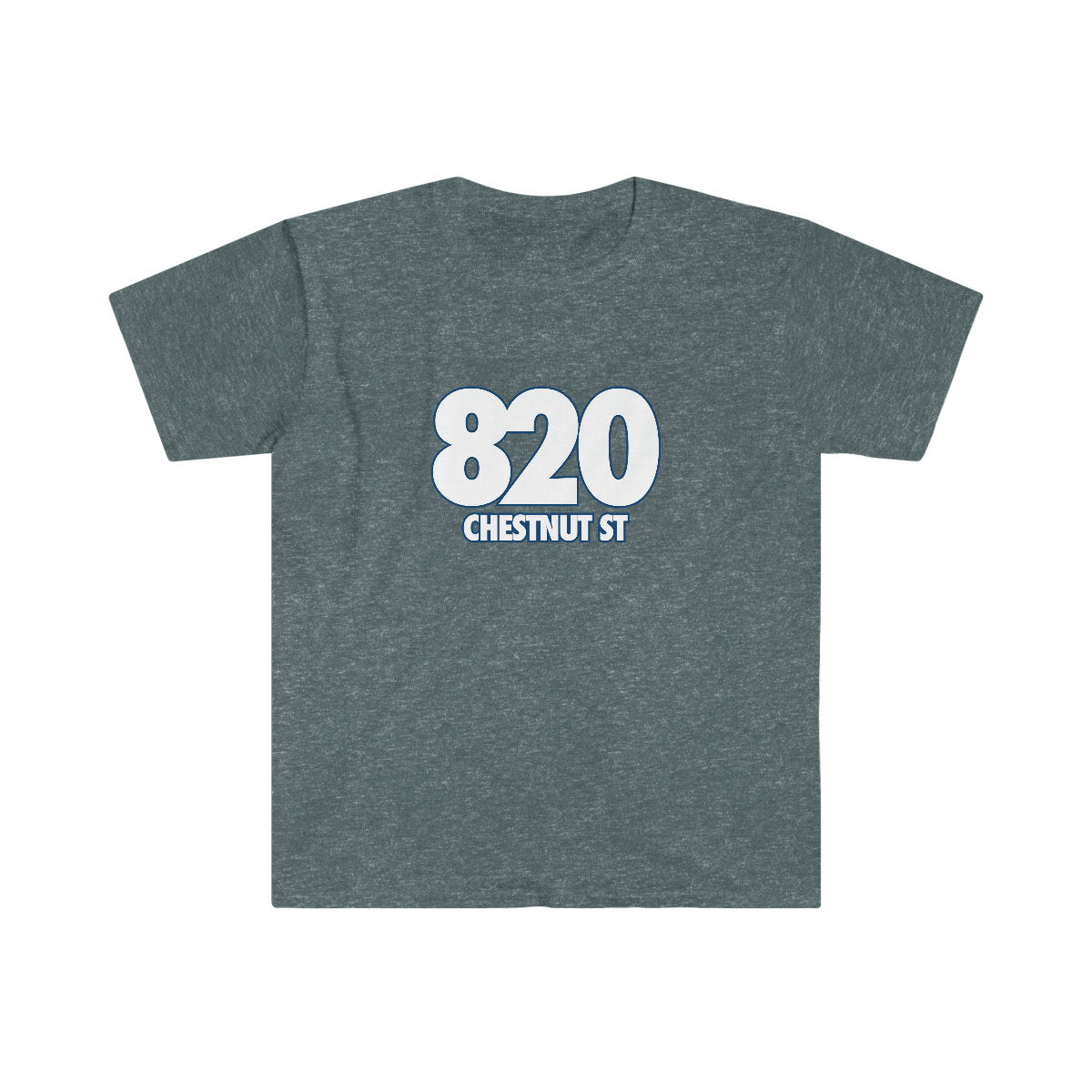 820 Chestnut Street (Lincoln MO)