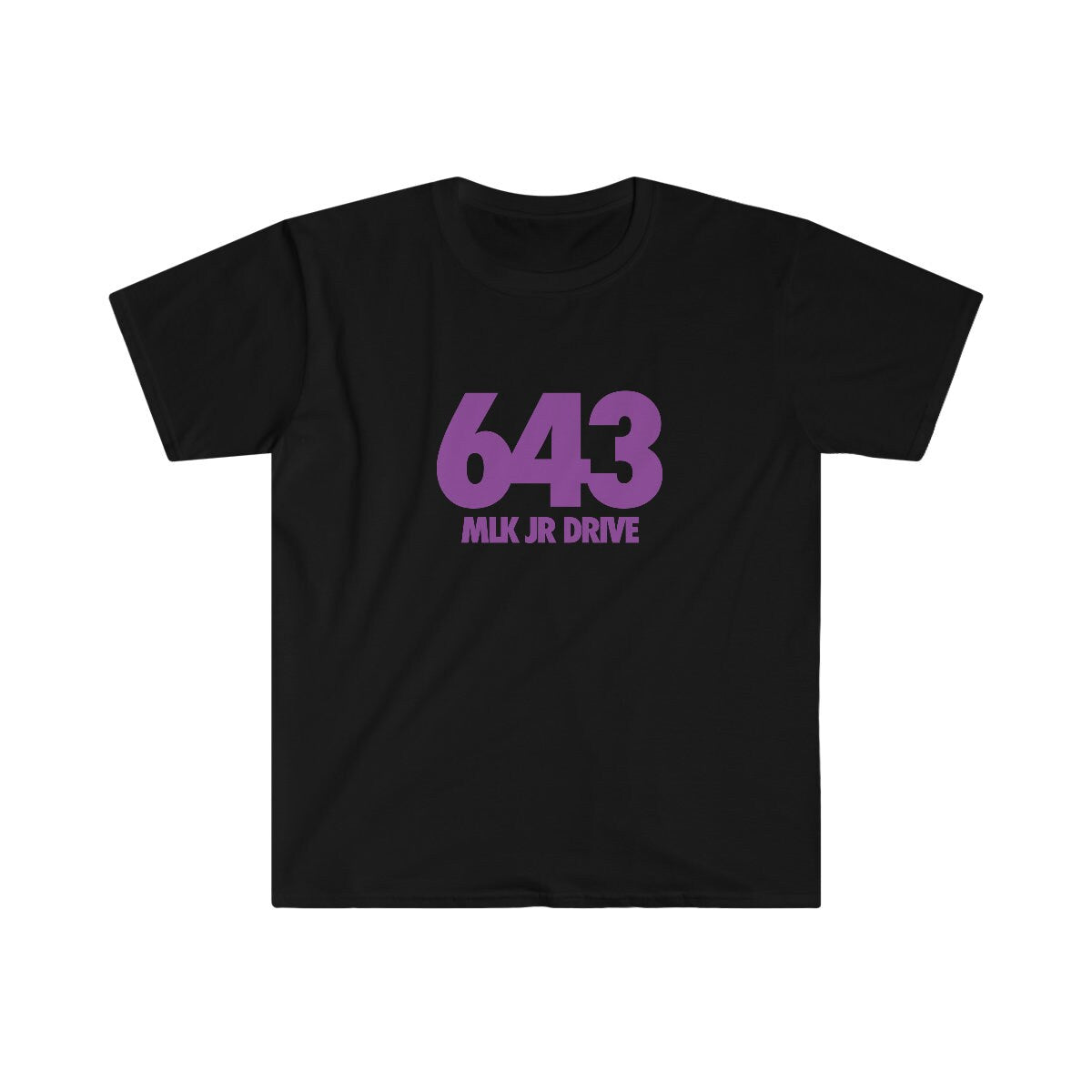 643 MLK Jr Drive (Morris Brown)