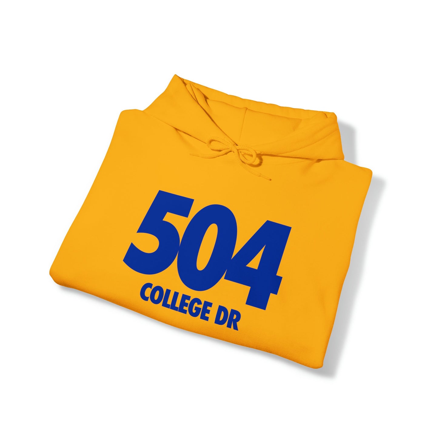 504 College Drive (Albany State)