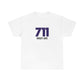 711 Wiley Ave (Wiley)