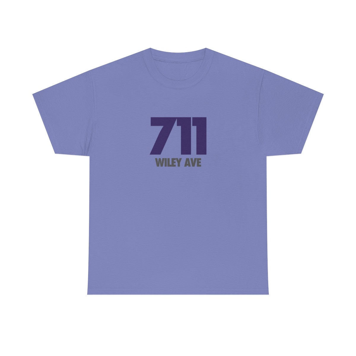 711 Wiley Ave (Wiley)