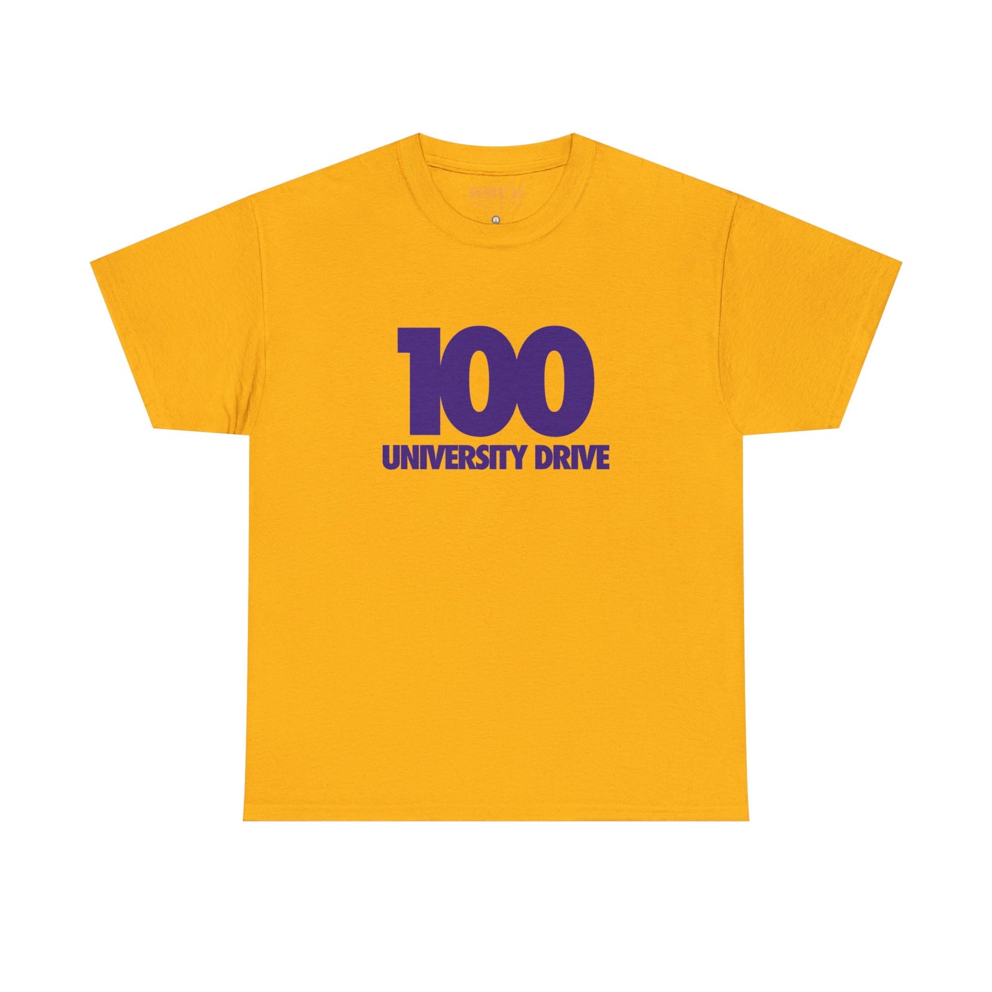 100 University Drive (PVAMU)